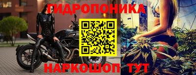 прущие грибы Будённовск