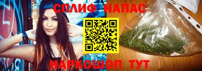 прущие грибы Будённовск