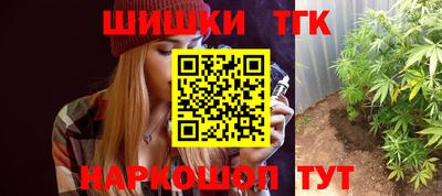 прущие грибы Будённовск