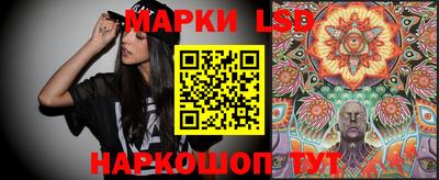 прущие грибы Будённовск